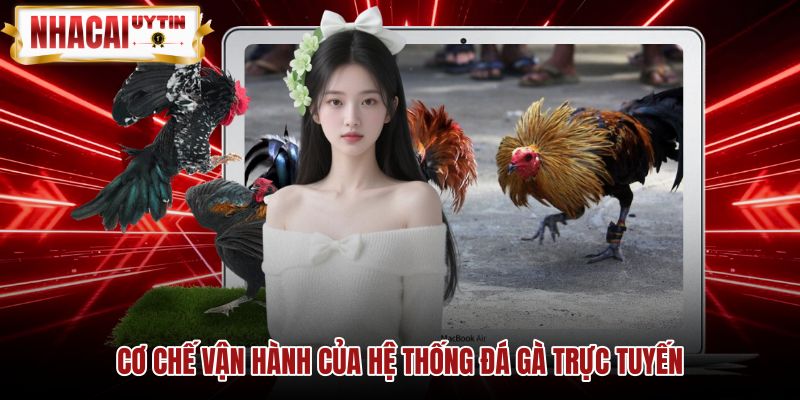 co-che-van-hanh-cua-he-thong-da-ga-truc-tuyen Cơ chế truyền dữ liệu đá gà trực tuyến không độ trễ